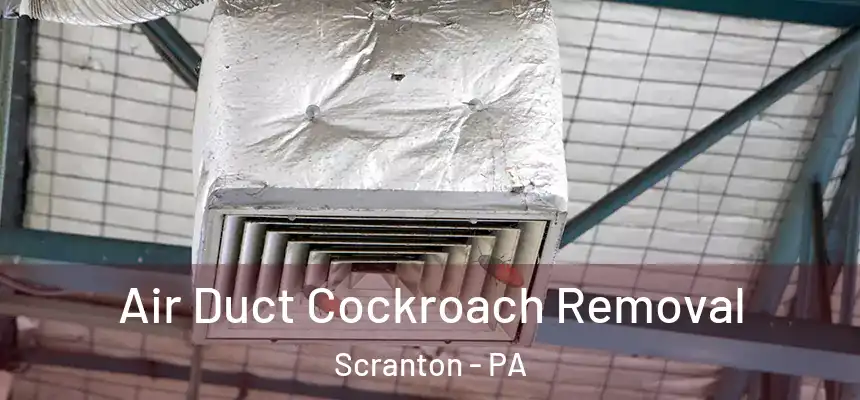  Air Duct Cockroach Removal Scranton - PA