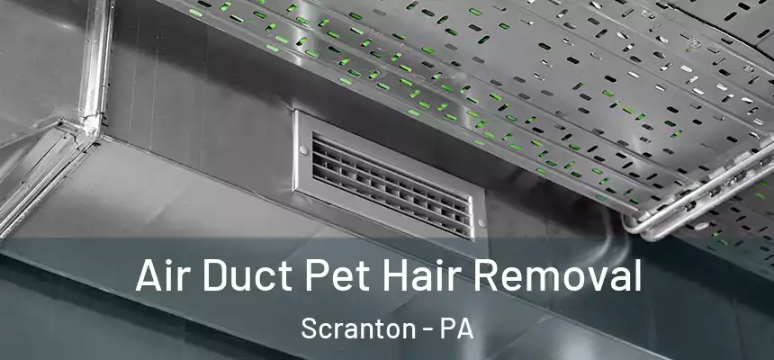  Air Duct Pet Hair Removal Scranton - PA
