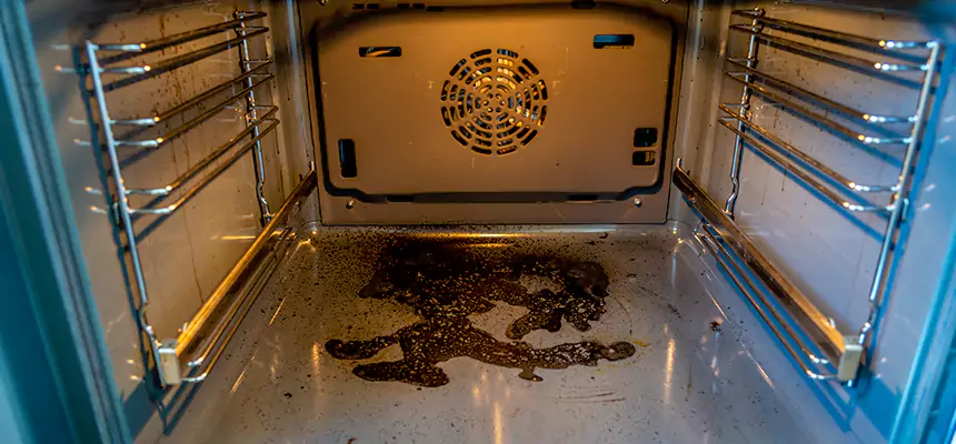 Our Dryer Vent Mold Cleaning Services in Scranton, PA