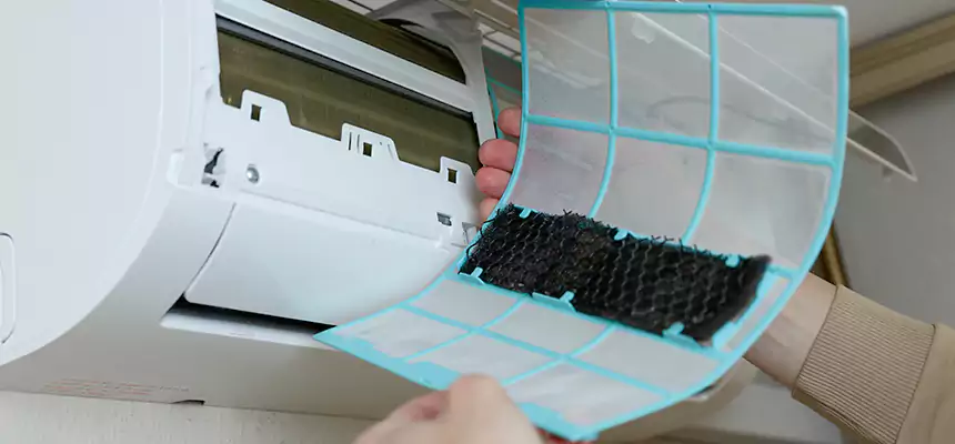 Gentle Ductwork Odor-Control Pet Dander Duct Cleaning in Scranton, PA