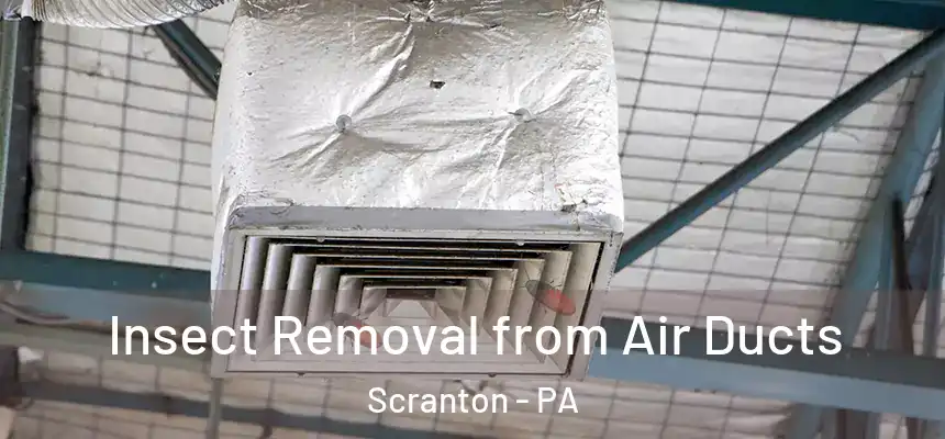  Insect Removal from Air Ducts Scranton - PA