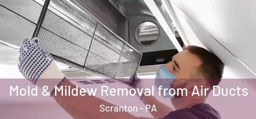  Mold & Mildew Removal from Air Ducts Scranton - PA