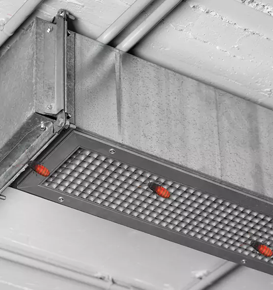 Affordable Insect Removal from Air Ducts in Scranton, PA