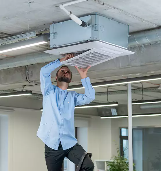 Advanced Rodent Droppings In Vents in Scranton, PA