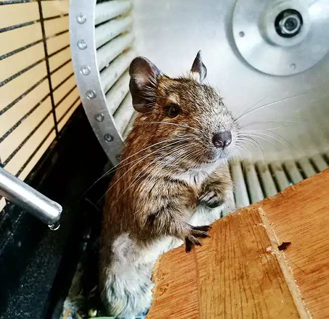 Why Homeowners & Businesses Trust Us Scranton, PA?